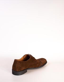 Zapato Paco´s 19507  marrón para hombre